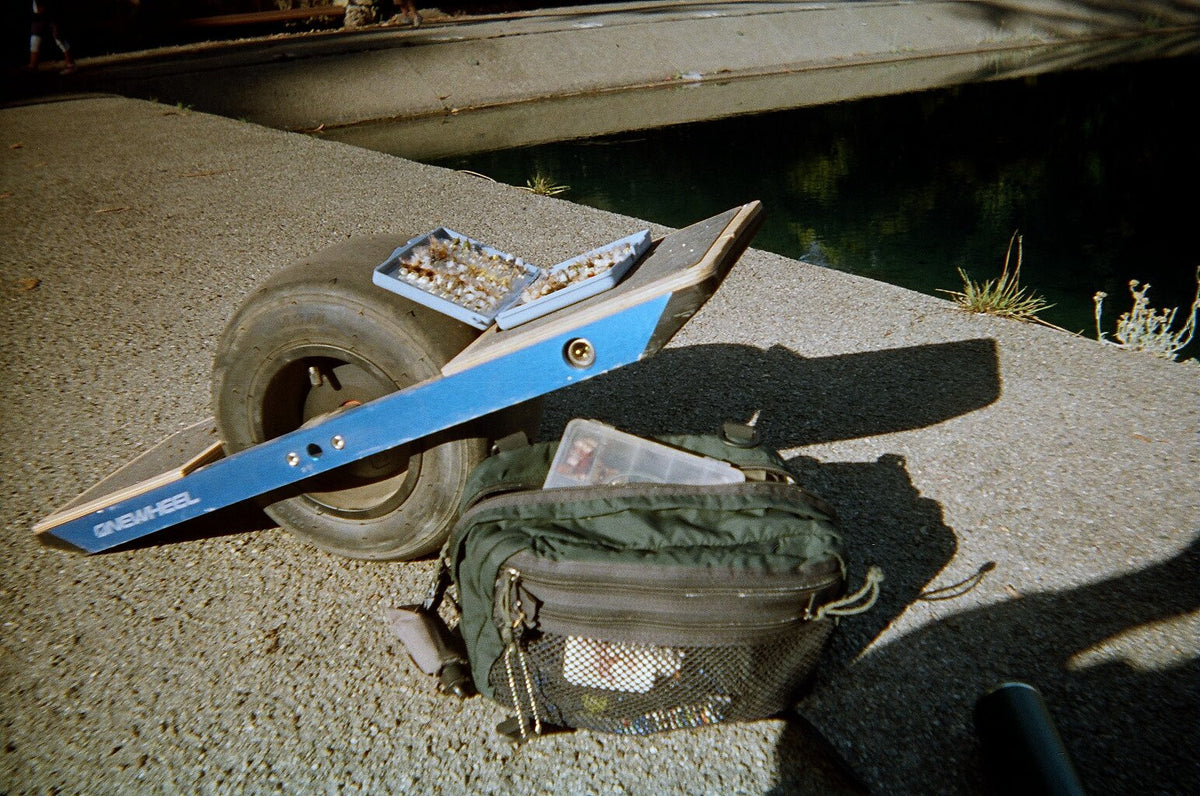 Golden Gate Park Adventure