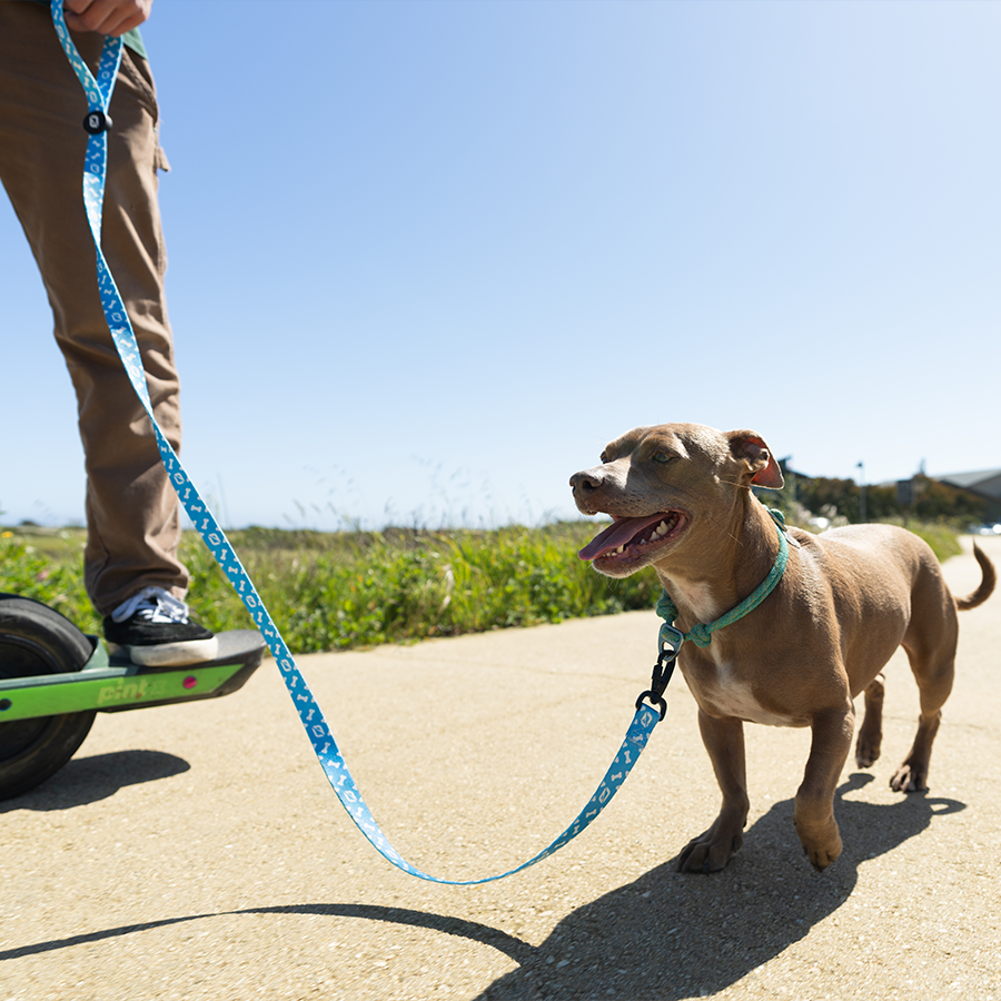 Onewheel Dog Leash - Onewheel // Future Motion